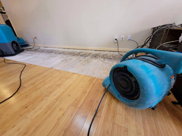 Professional Water Damage Repair technician working in Manhattan, IL